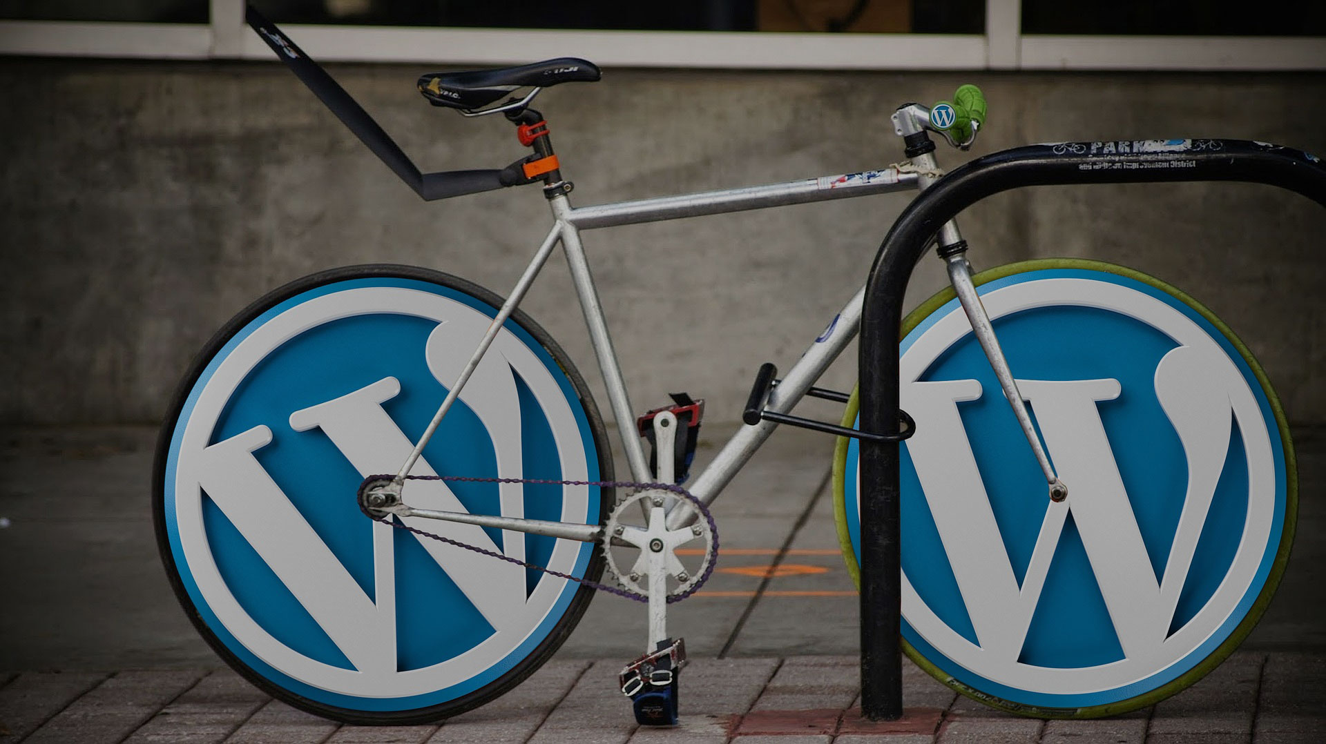 Why Choose WordPress for Your Business Website